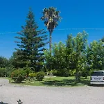 Pomelia *
